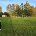 IMG_20241018_170949